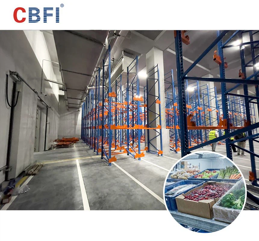 CBFI One{0}}Stop Cold Chain lahenduste pakkuja, mis annab suuremale-mahulisele värskele tootele külmaahela logistika uuendamine